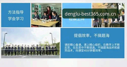 揭秘best365官方正版：数据背后的价值与使用真相